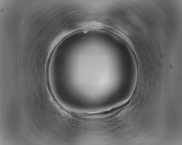 X0000063441488200601201142