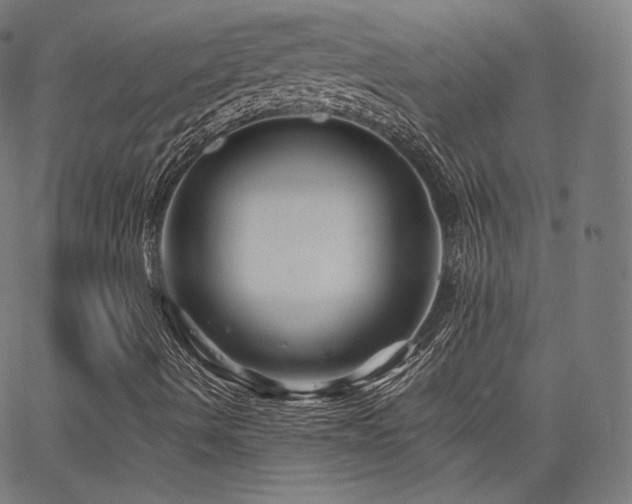 X0000063441490200601201141
