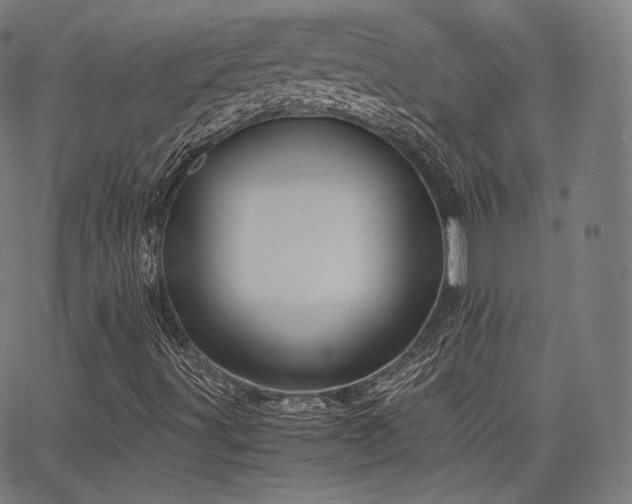 X0000063441491200601201141