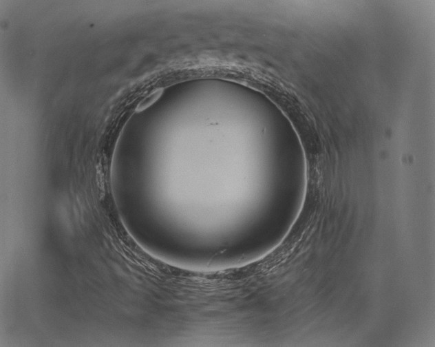 X0000063441493200601201141