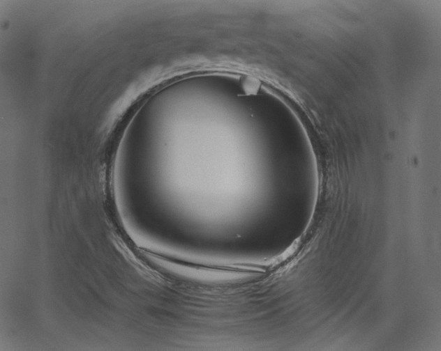 X0000063441503200601201141