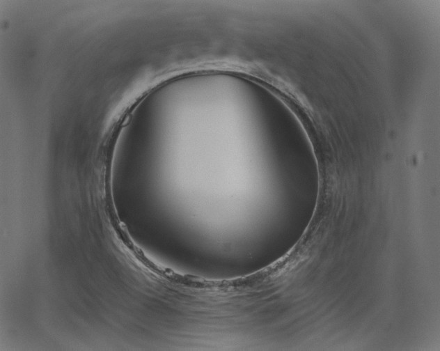 X0000063441504200601201141
