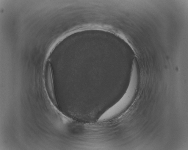 X0000063441508200601201141