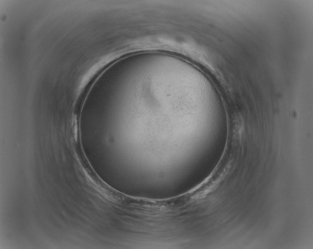 X0000063441509200601201141
