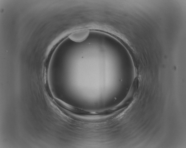 X0000063441510200601201141