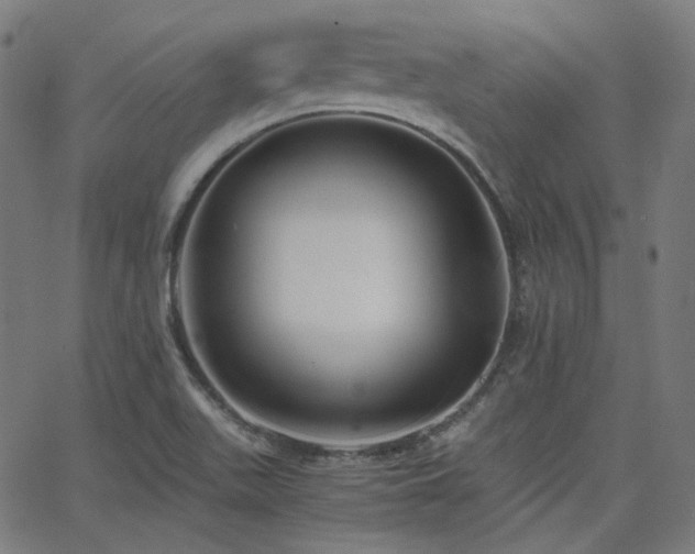 X0000063441511200601201141