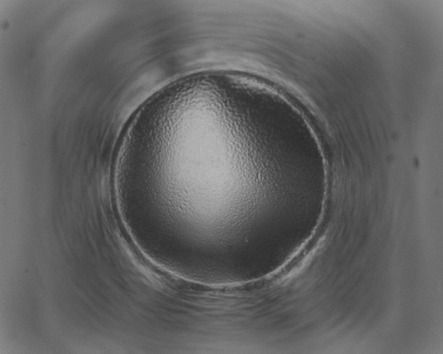 X0000063441513200601201141