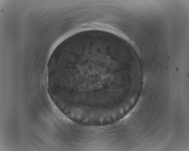 X0000063441522200601201142