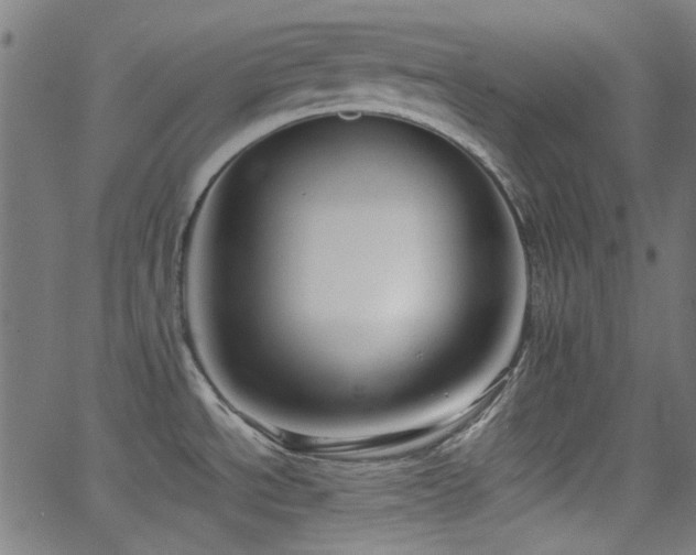 X0000063441534200601201142