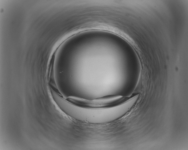 X0000063441536200601201142