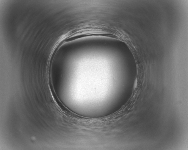 X0000063440003200601231338