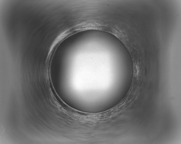 X0000063440004200601231338
