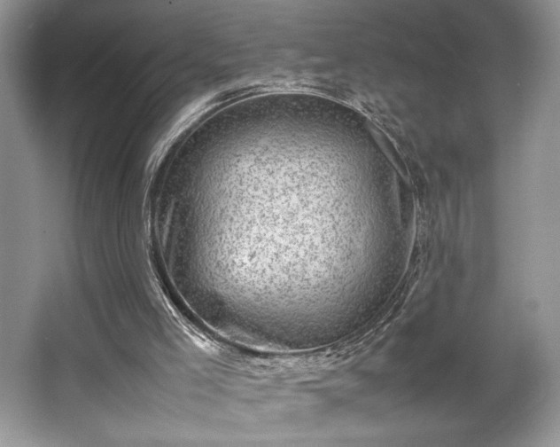 X0000063440005200601231338