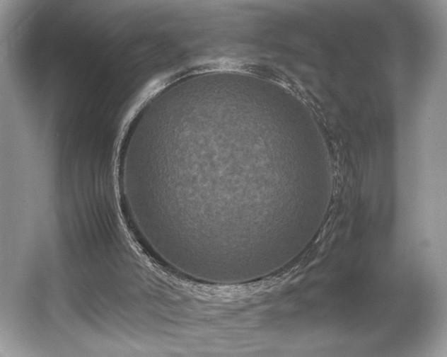 X0000063440006200601231338