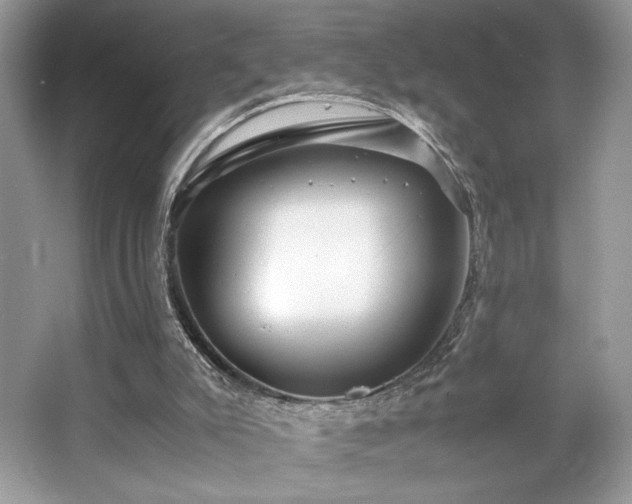 X0000063440007200601231338