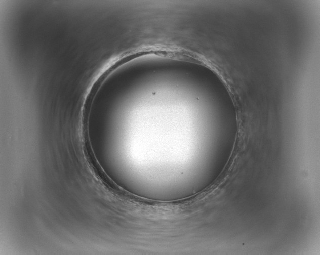 X0000063440008200601231338