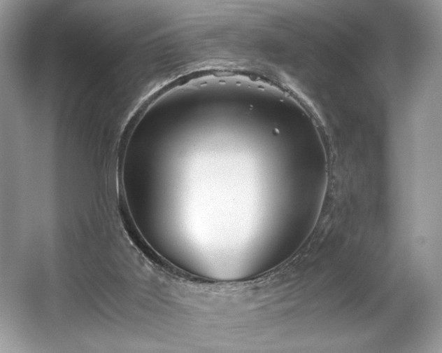 X0000063440011200601231338