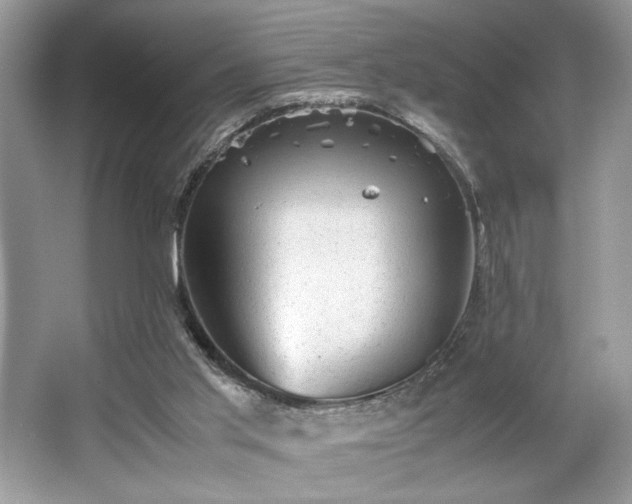X0000063440013200601231338