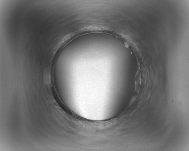 X0000063440015200601231338