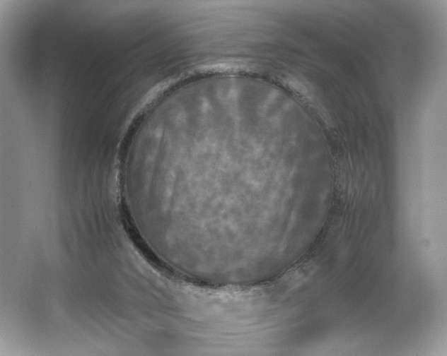 X0000063440016200601231338