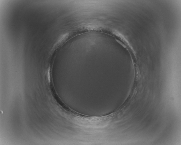 X0000063440019200601231338