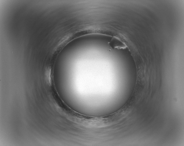 X0000063440024200601231337