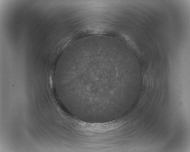 X0000063440026200601231337