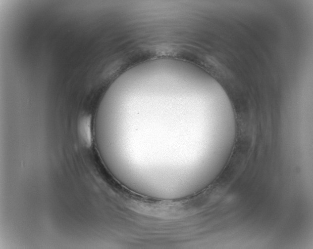 X0000063440028200601231337