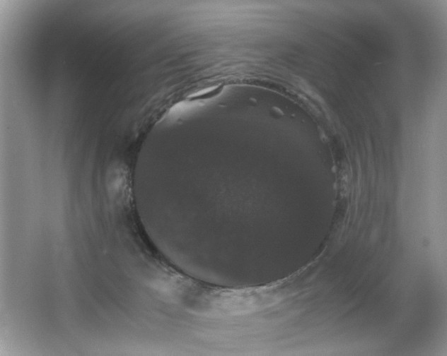 X0000063440029200601231337