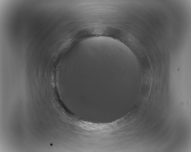 X0000063440031200601231337