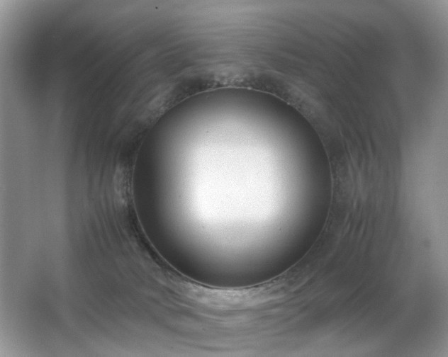 X0000063440034200601231337