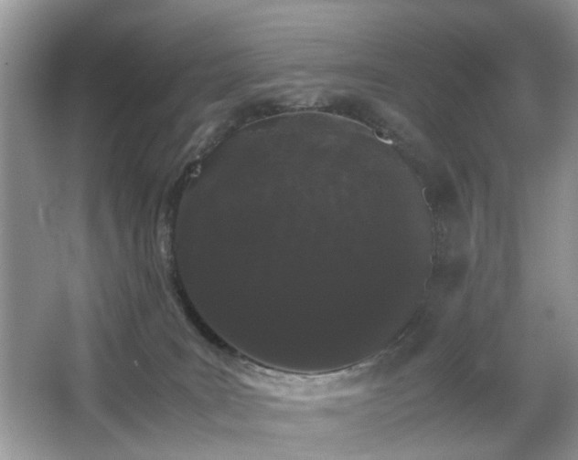 X0000063440035200601231337