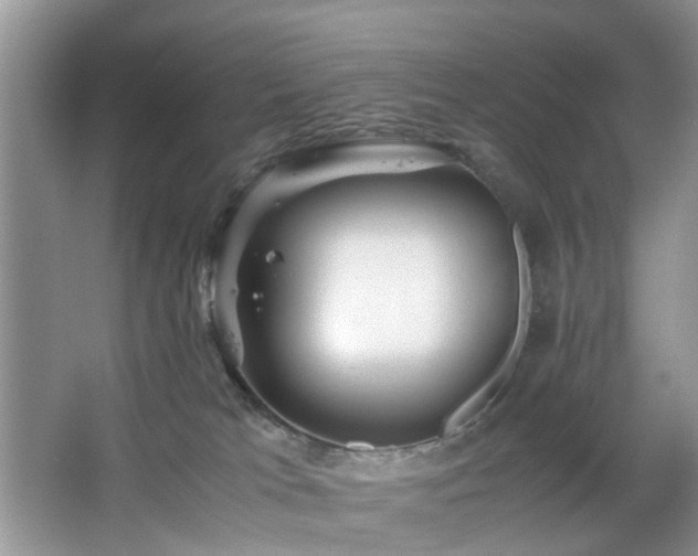 X0000063440037200601231337