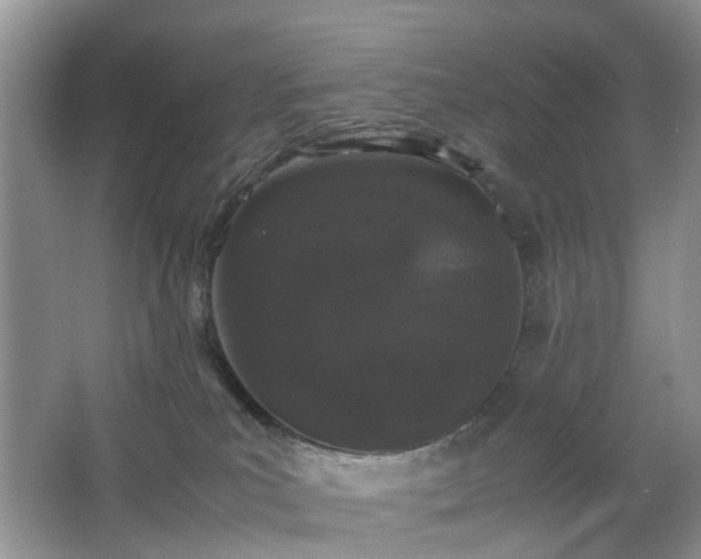 X0000063440039200601231337