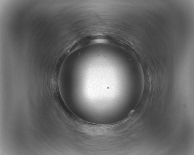 X0000063440040200601231337