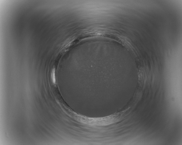 X0000063440046200601231337