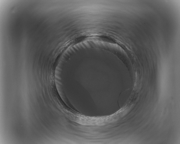 X0000063440048200601231337
