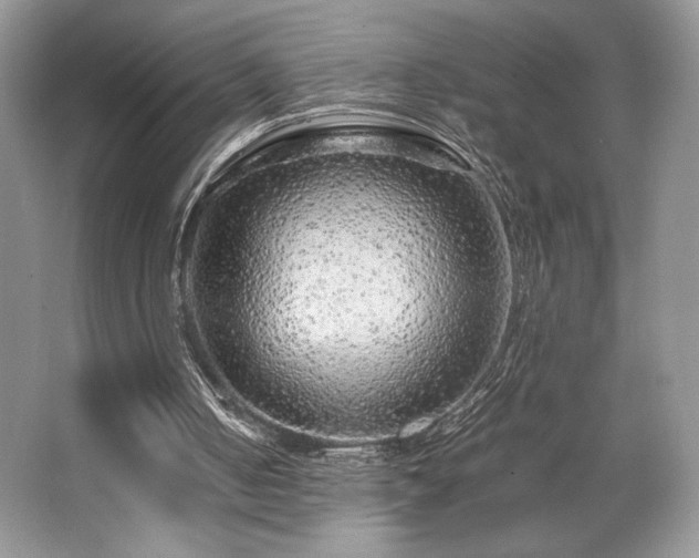 X0000063440050200601231336