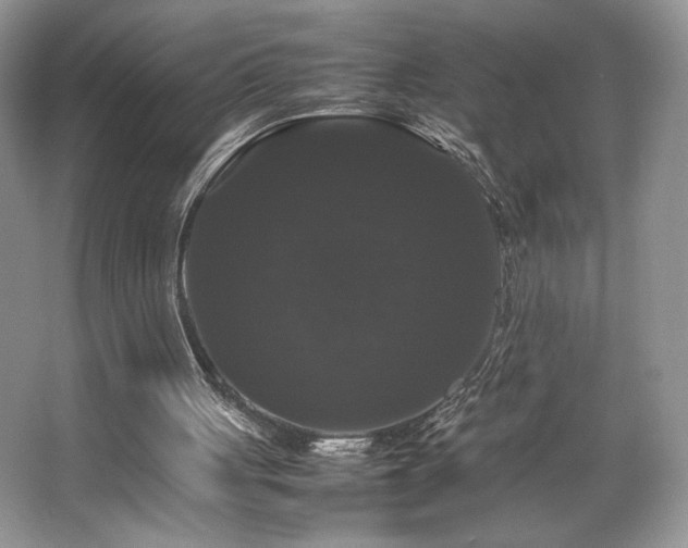 X0000063440051200601231336
