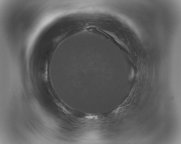X0000063440052200601231336