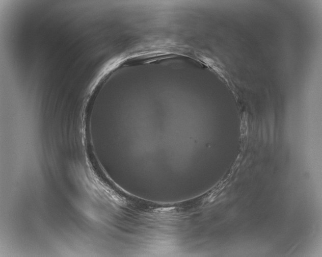X0000063440054200601231336