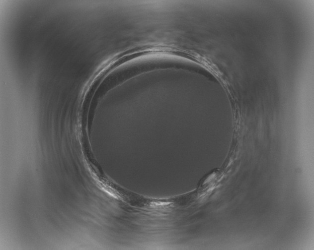 X0000063440055200601231336