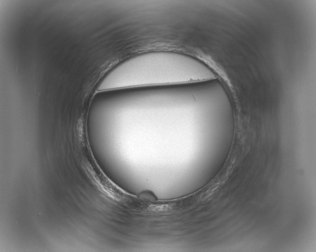 X0000063440057200601231336