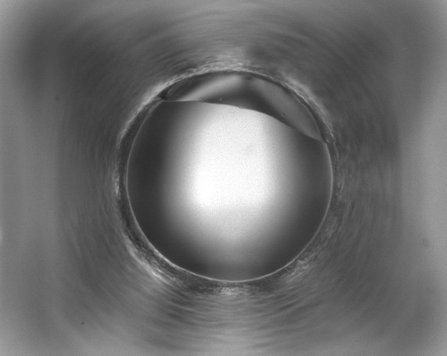 X0000063440060200601231336