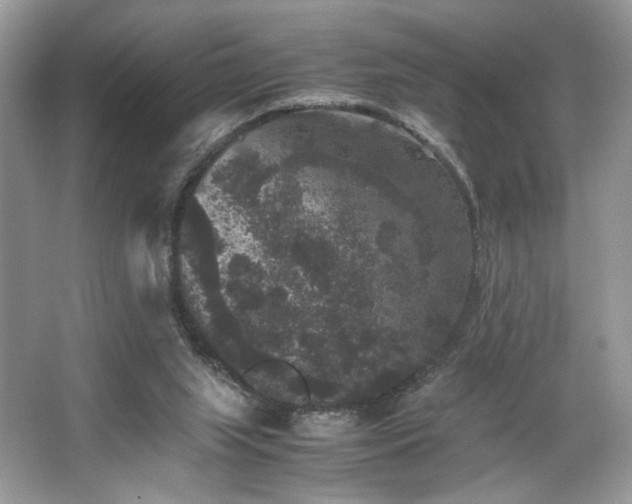 X0000063440063200601231336