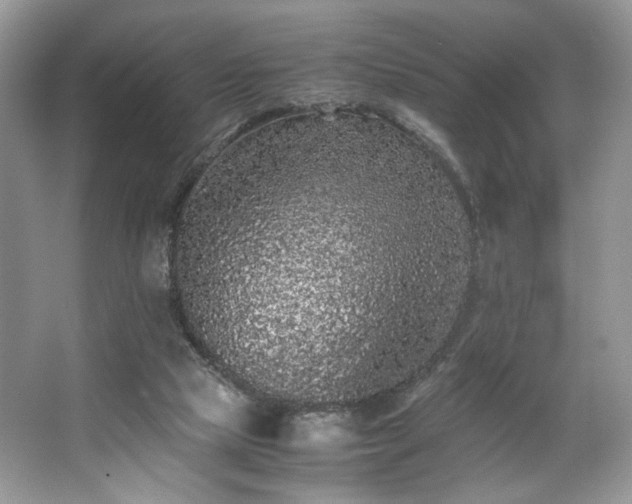 X0000063440065200601231336