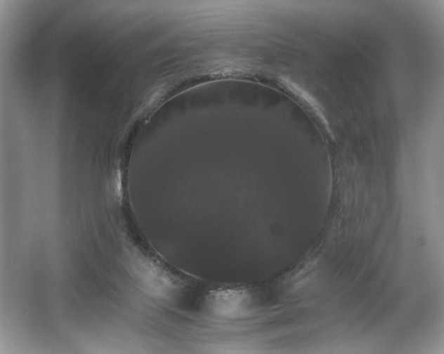 X0000063440067200601231337