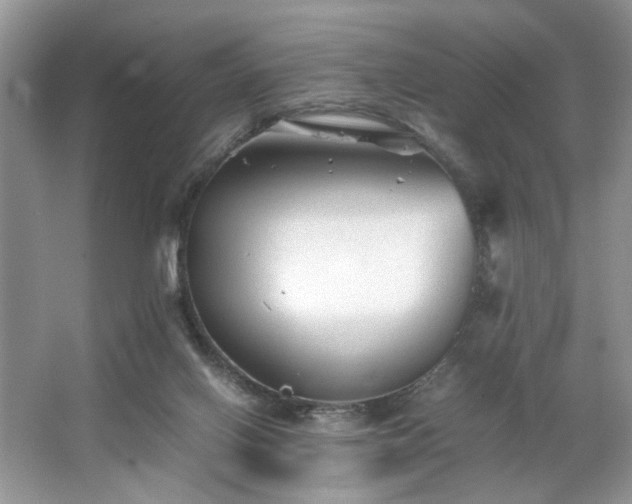 X0000063440070200601231337