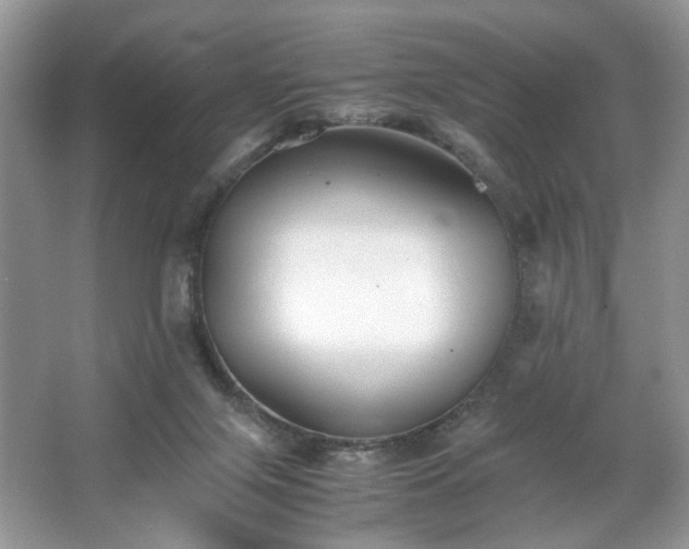 X0000063440071200601231337