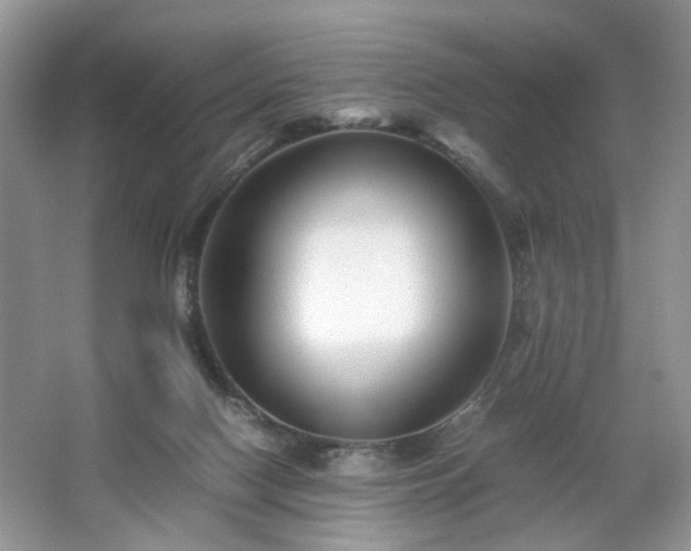 X0000063440074200601231337